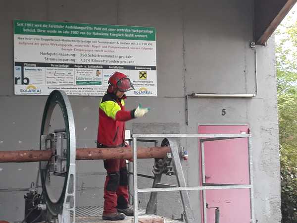 Demo of cutting a tree